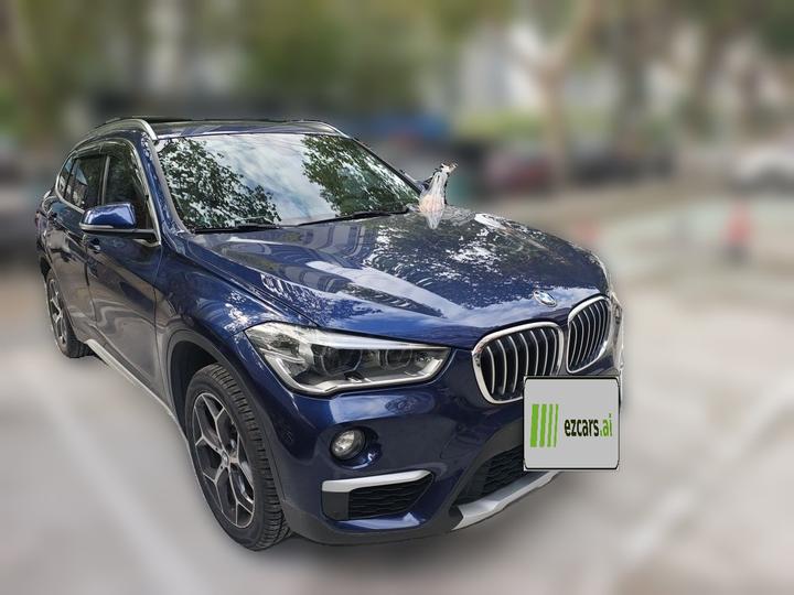 X1 2018 xDrive20Li Luxury photo 3