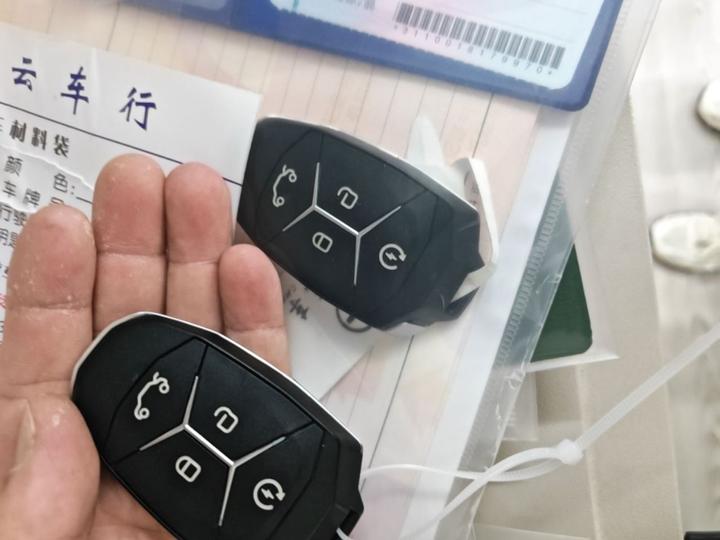02 EV 2019 1.5T PHEV Pro photo 8