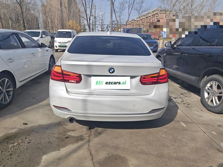 3 Series 2018 318Li photo 3