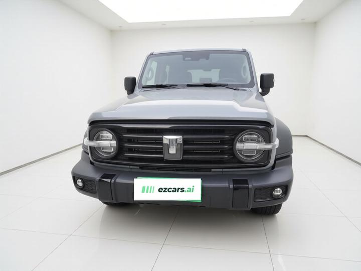 300 2024 2.0T Conqueror photo 2