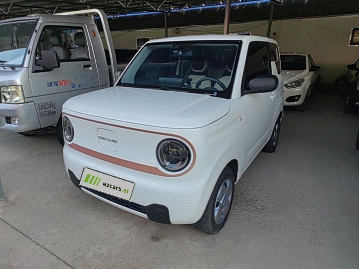 2024 Panda mini 200km Endurance Bear