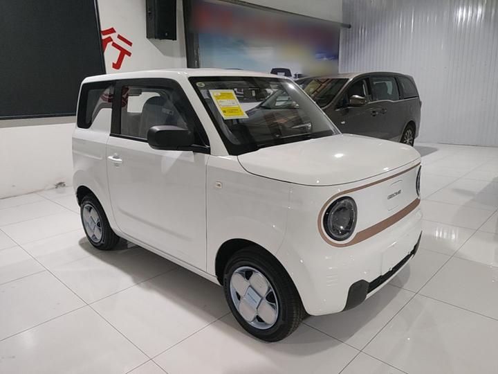 2024 Panda mini 200km Endurance Bear photo 3