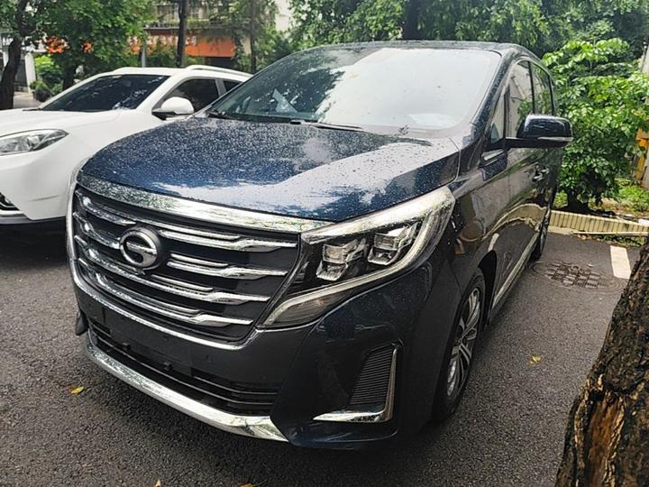 GAC Trumpchi M8 2020 Pilot 390T Premium