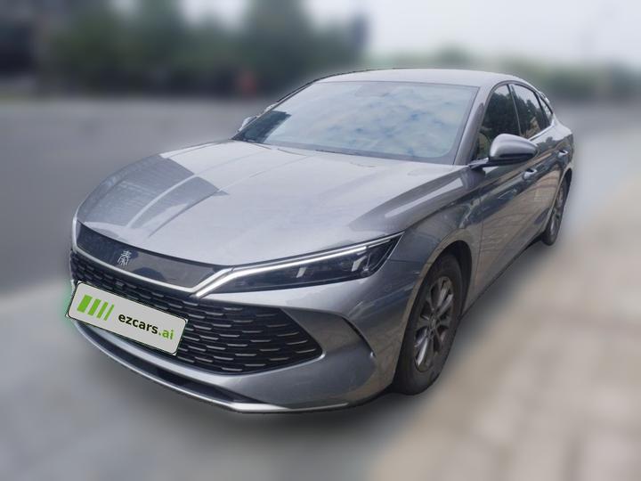 Qin L 2024 DM-i 80KM Leading