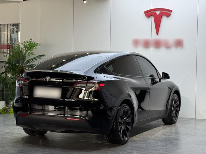 Model Y 2023 RWD photo 6