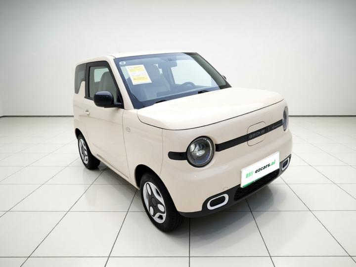 2025 Panda mini 210km Yuan photo 3