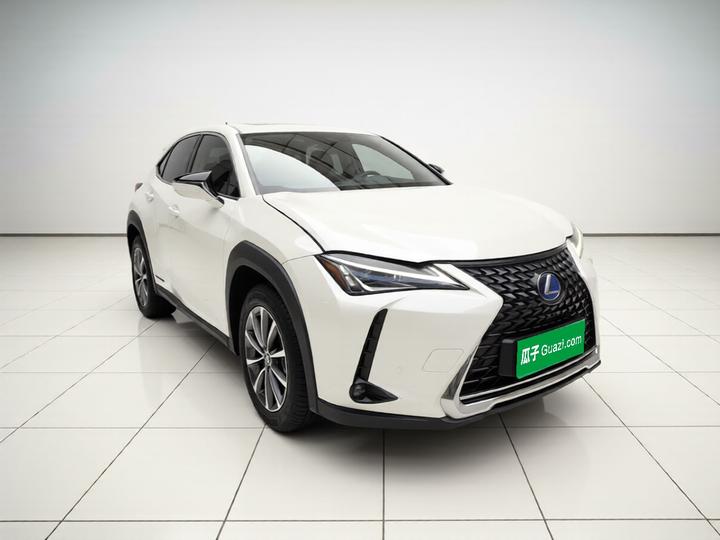 UX EV 2020 300e photo 3