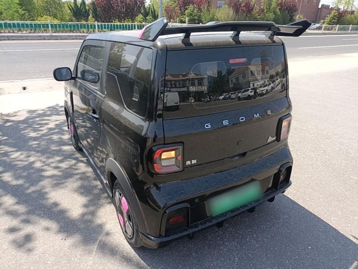 2025 210km Panda photo 4