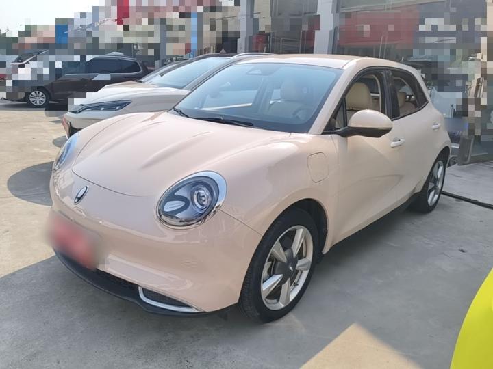 Good Cat 2023 401km Standard Range Luxury LFP