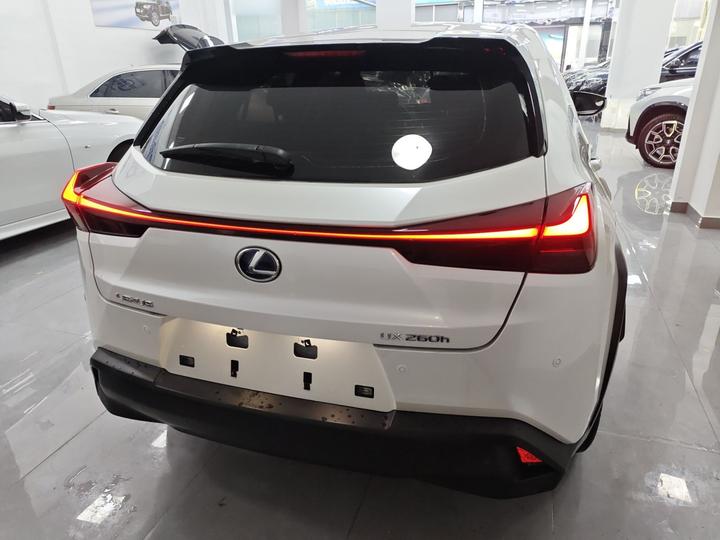 UX 2019 260h China VI photo 3