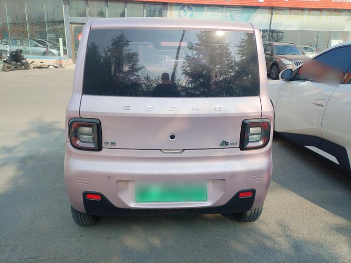 2024 Panda mini 200km Endurance Bear photo 3