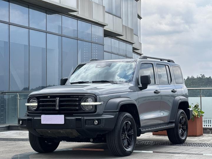 300 2021 Off-road 2.0T Conqueror