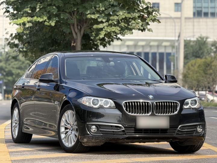 5 Series 2017 525Li Luxury Design Package photo 5