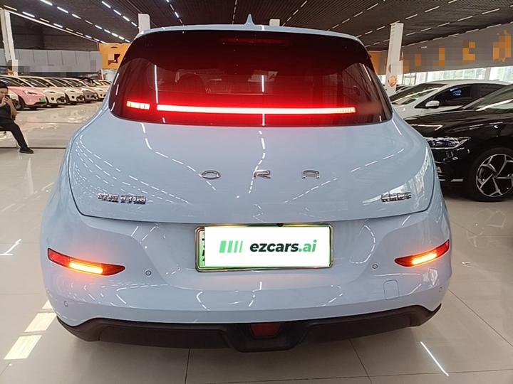 Good Cat 2021 400km Standard Range LFP photo 3