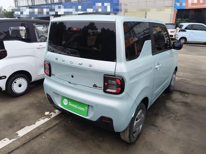 2024 Panda mini 200km Endurance Bear photo 6