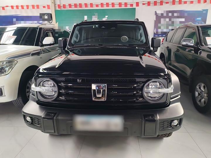 300 2023 Off-road 2.0T Conqueror photo 2