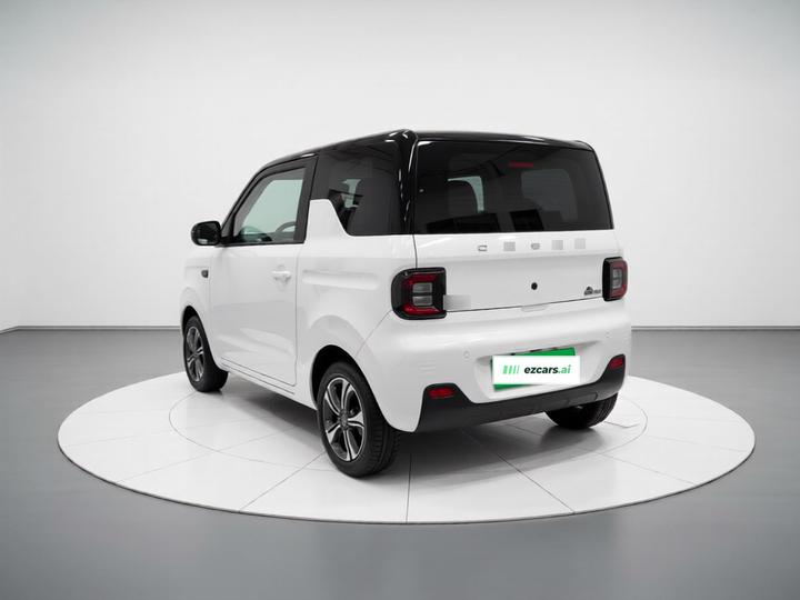 2023 Panda mini 200km Endurance Bear photo 4