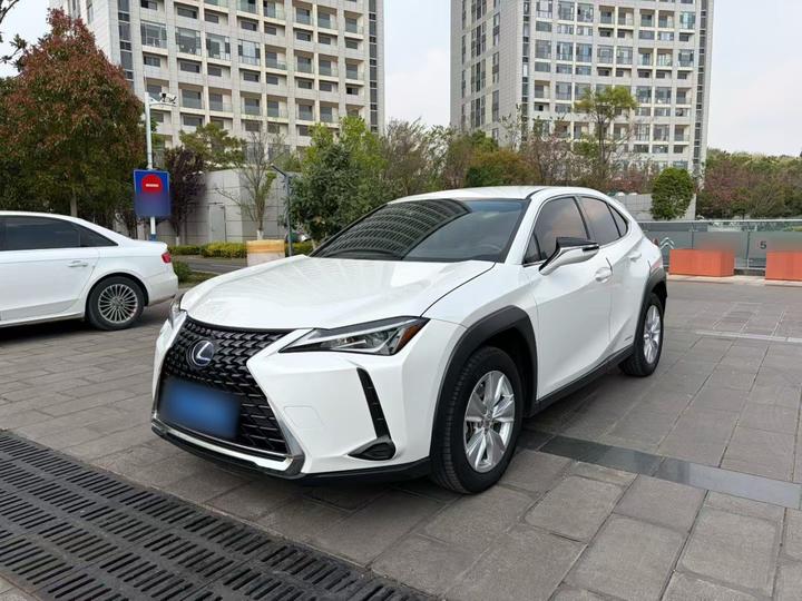 UX 2020 260h