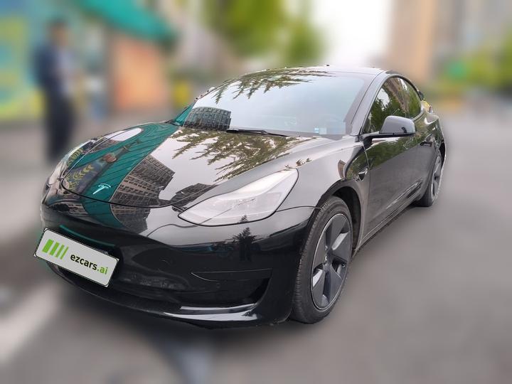 Model 3 2021 Standard Range RWD Upgraded 3D6