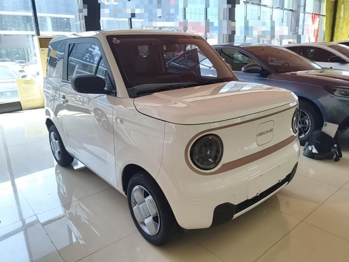 2024 Panda mini 200km Endurance Bear photo 3