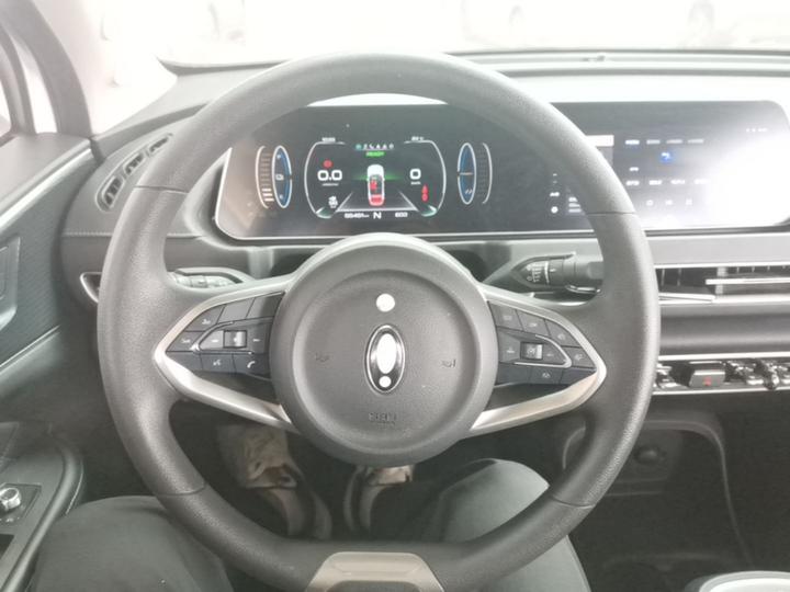 Good Cat 2021 400km Standard Range LFP photo 3