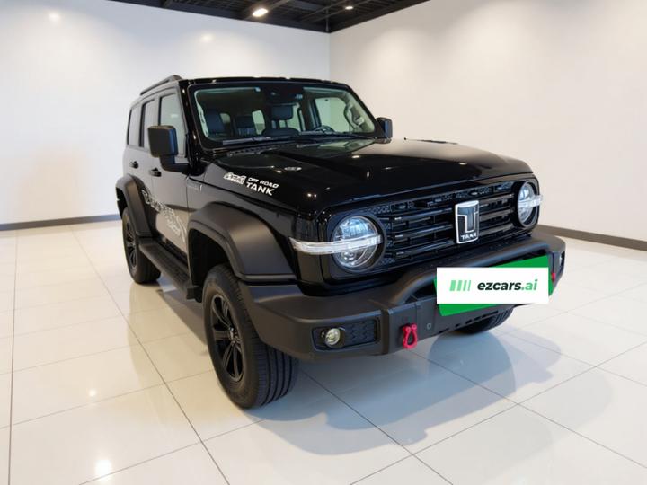 300 2021 Off-road 2.0T Conqueror photo 3