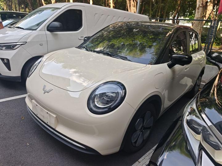 Bingo Pro 2026 330km Exclusive