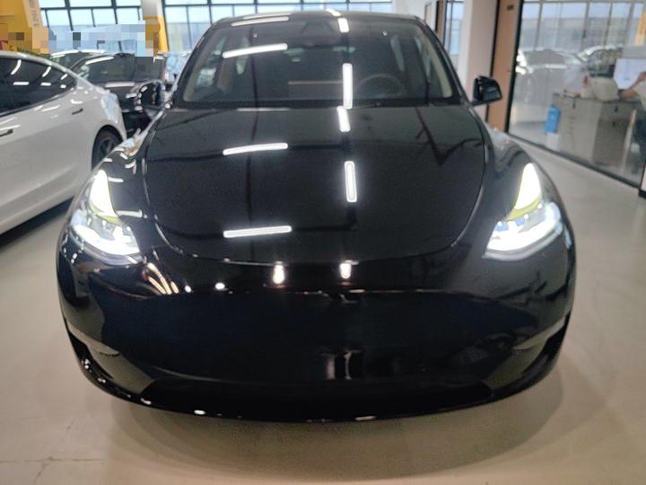 Model Y 2021 Long Range AWD photo 2