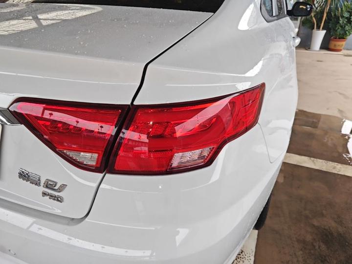Emgrand EV 2022 EV Pro LFP photo 7