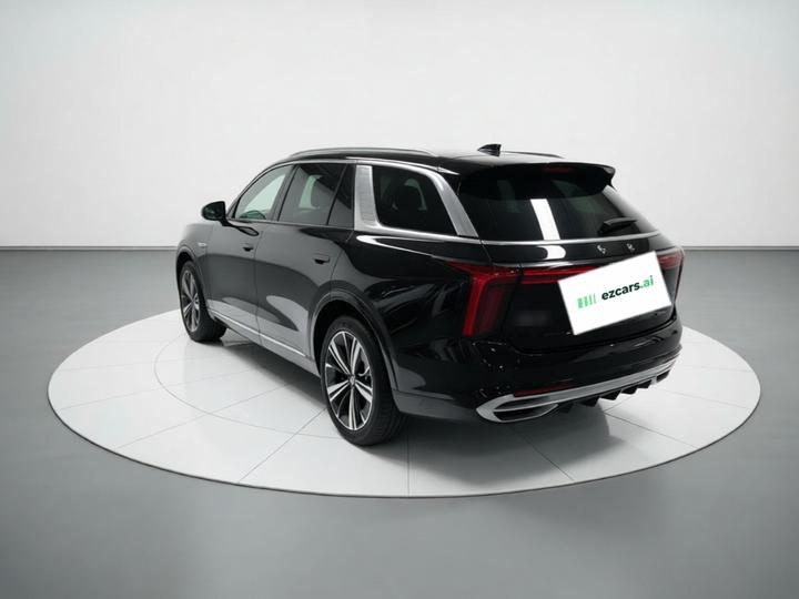 E-HS9 2021 460km 6-Seater photo 4