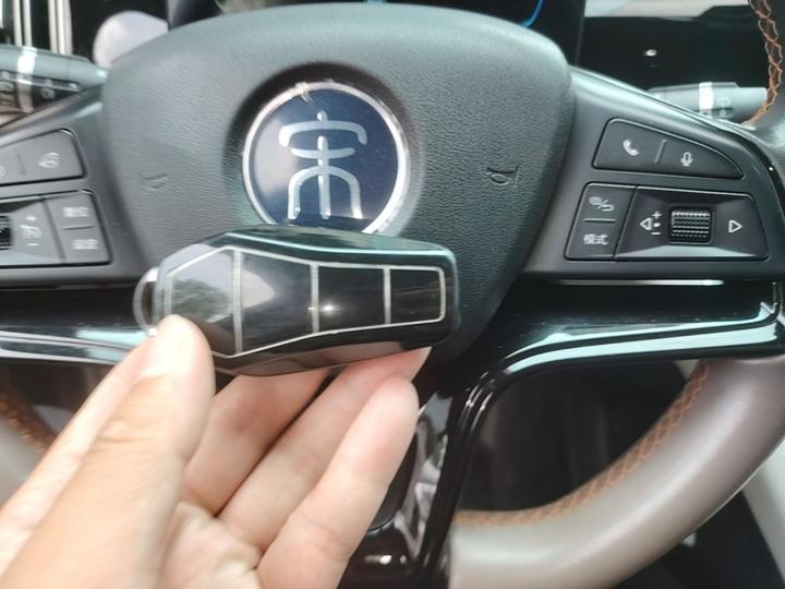 Song Pro EV 2024 Honor DM-i 71KM Pilot photo 8