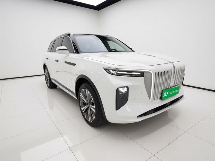 E-HS9 2022 690km 6-Seater photo 3