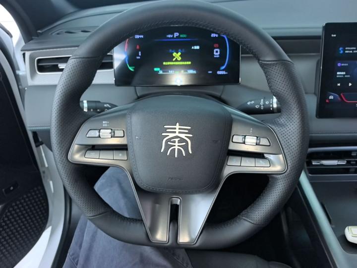 Qin PLUS 2025 DM-i ADAS 55KM Leading photo 6