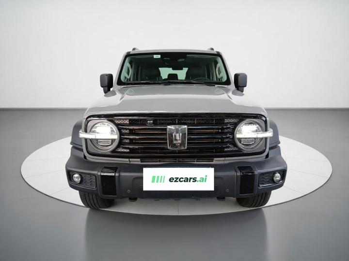 300 2023 Off-road 2.0T Conqueror photo 2