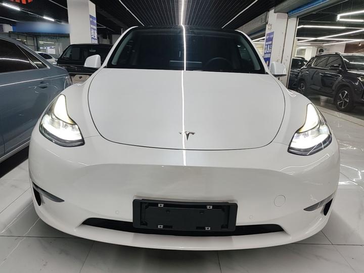 Model Y 2021 Standard Range RWD photo 2