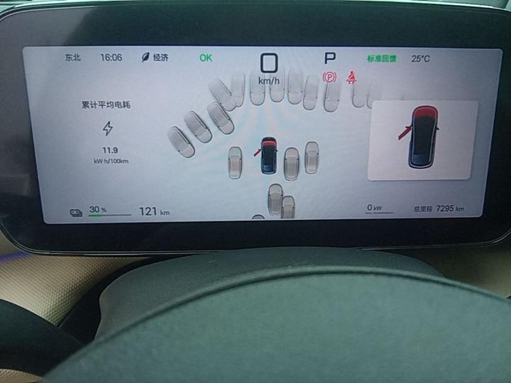 Dolphin 2025 ADAS 410km Fashion photo 7