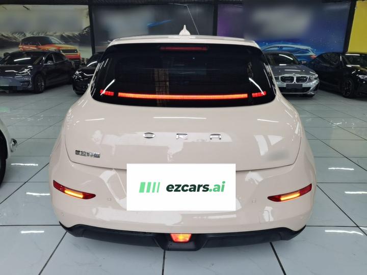 Good Cat 2023 401km Standard Range Luxury LFP photo 5