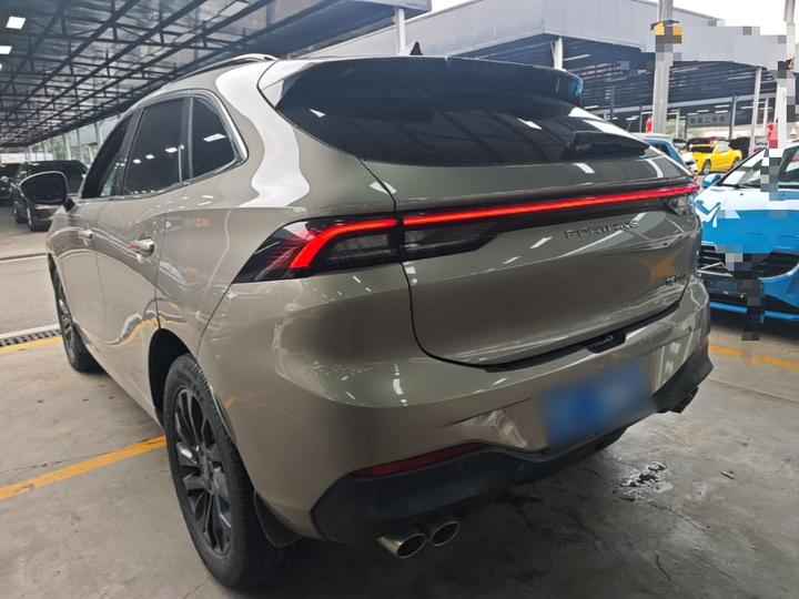 Forthing T5 EVO 2021 1.5TD DCT photo 4
