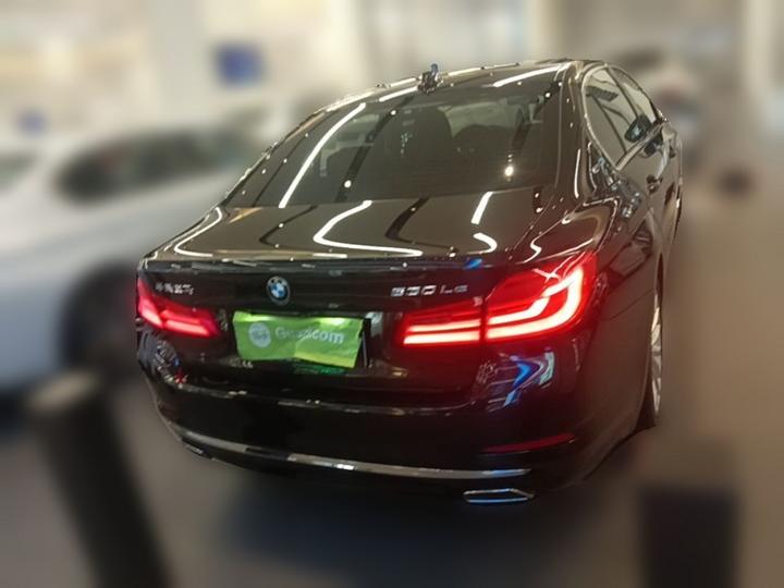 5 Series EV 2019 530Le Luxury photo 5