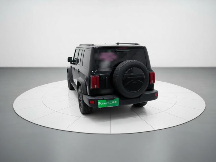 300 2021 Off-road 2.0T photo 4