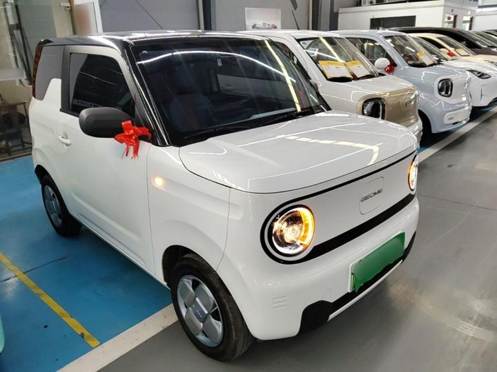 2024 Panda mini 200km Endurance Bear photo 3