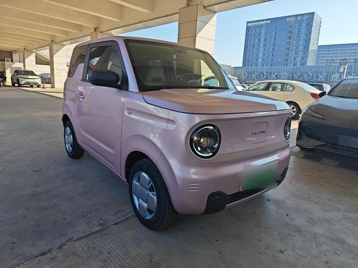 2024 Panda mini 200km Endurance Bear photo 3