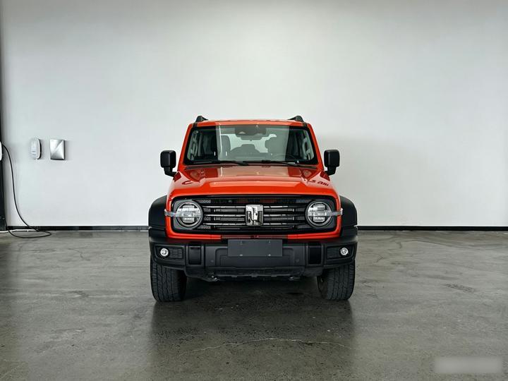 300 2025 2.0T Petrol Conqueror photo 2