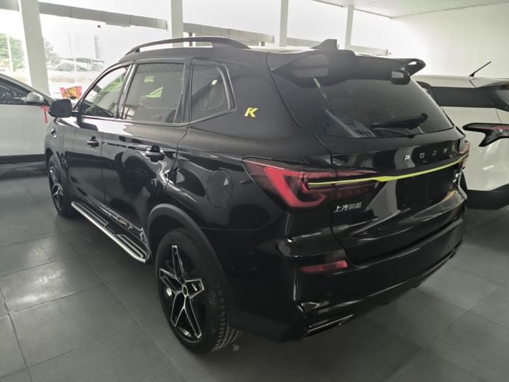 RX5 EV 2021 ePLUS Luxury photo 4