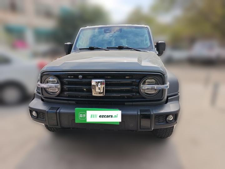 300 2021 Off-road 2.0T Conqueror photo 2