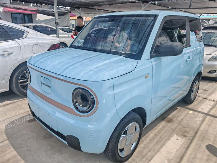 2023 Panda mini 200km Endurance Bear