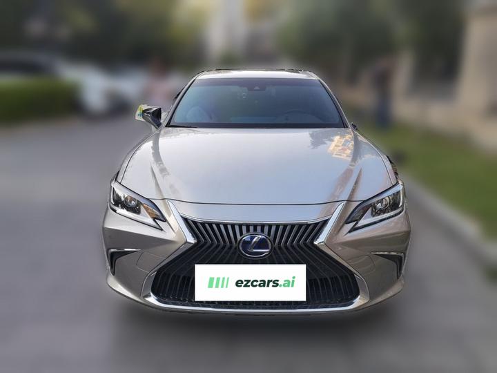 ES 2020 300h Excellence photo 2