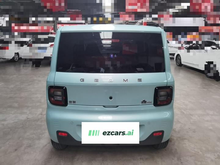 2024 Panda mini 200km Endurance Bear photo 5