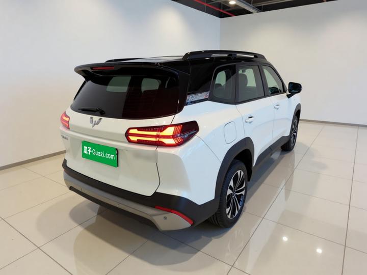560 EV 2026 125km Luxury photo 4