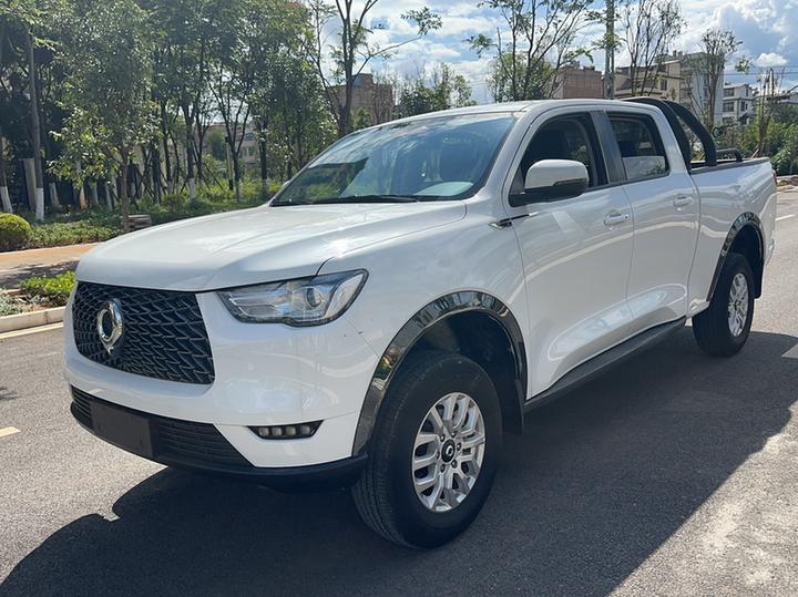 2019 2.0T MT Diesel AWD Elite GW4D20M